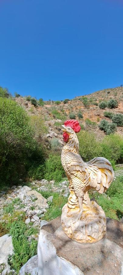Molino Laroya Villa Buitenkant foto